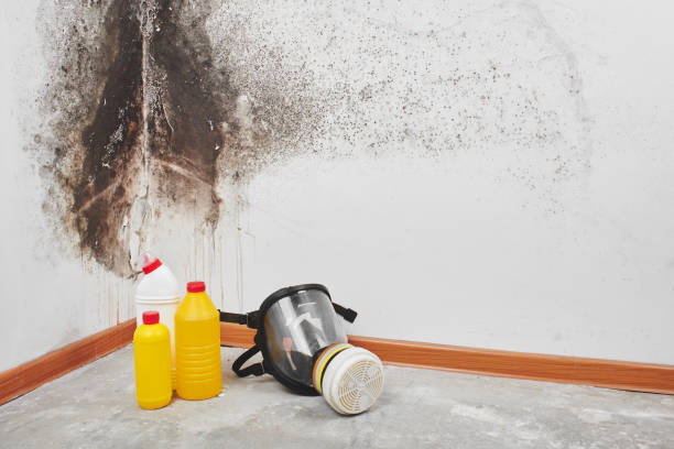 Water Damage Restoration in Gladeview, FL