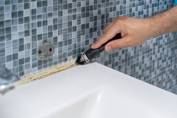 Mold Testing and Removal in Gladeview, FL
